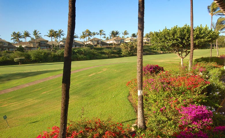 The Palms at Wailea Unit 901 Lanai Vacation Rental by Owner