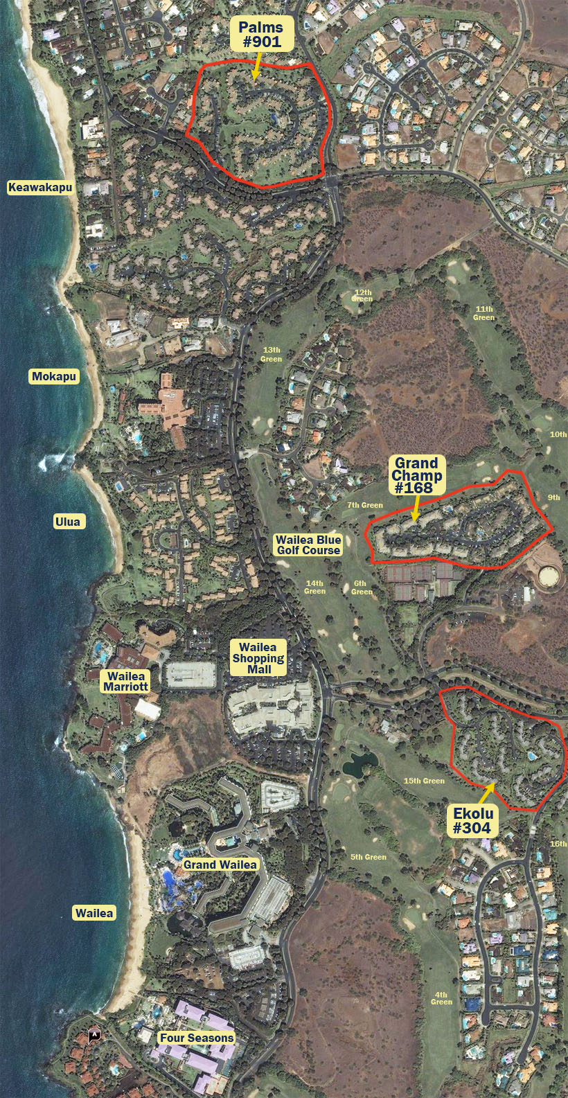 Wailea Maui Satellite Image